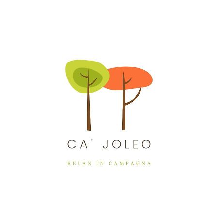 Ca'Joleo - Relax In Campagna Del Lago Di Garda San Giorgio in Salici Exteriér fotografie
